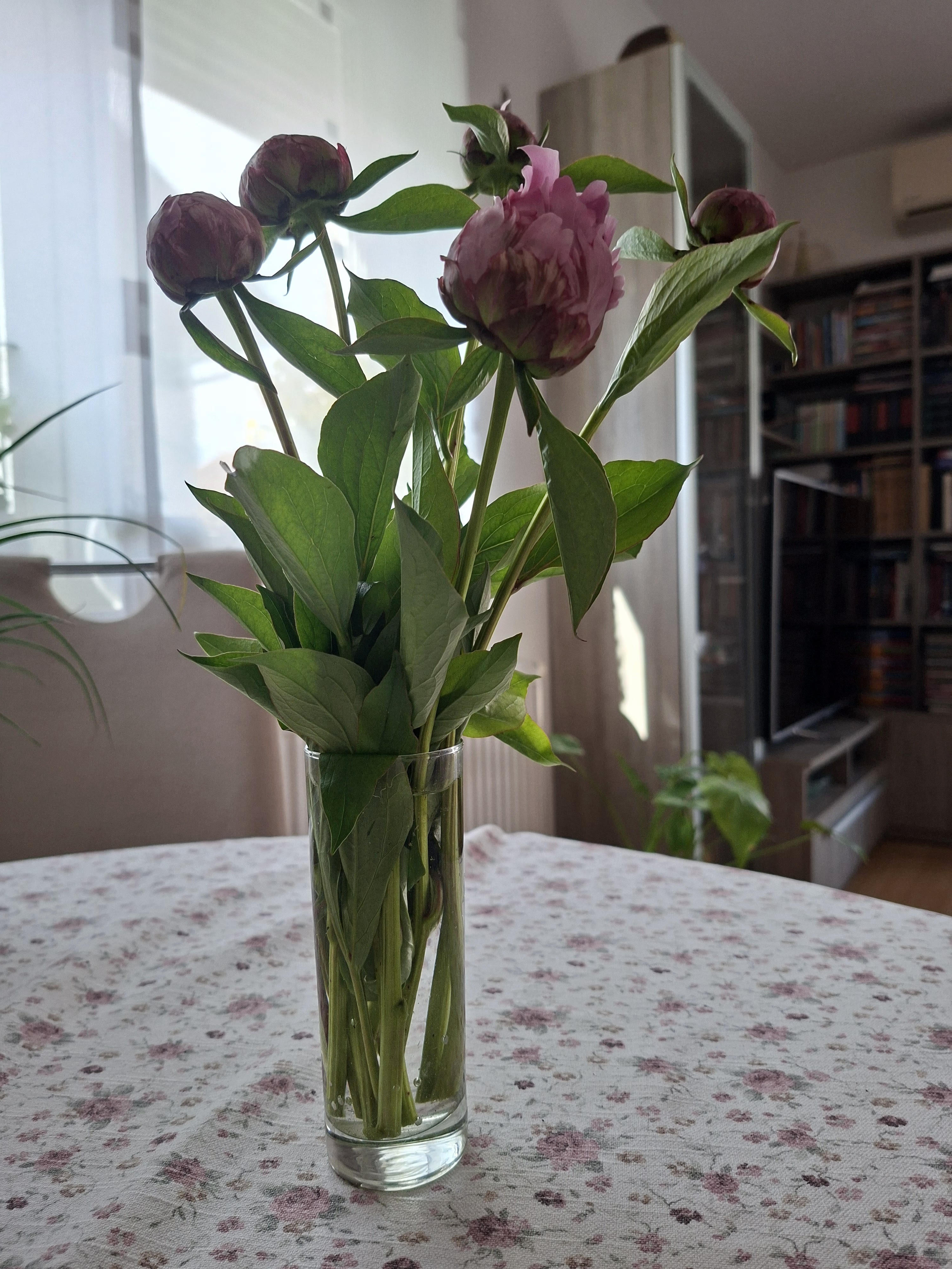 Tišina skuplja od pljeska